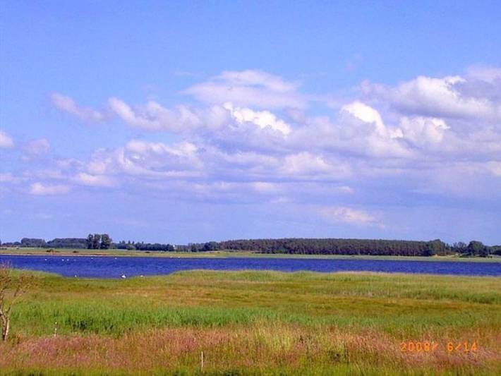 Ganze Ferienwohnung, Rügen-Fewo 185 - Fewo Fisch in Waase, Ummanz