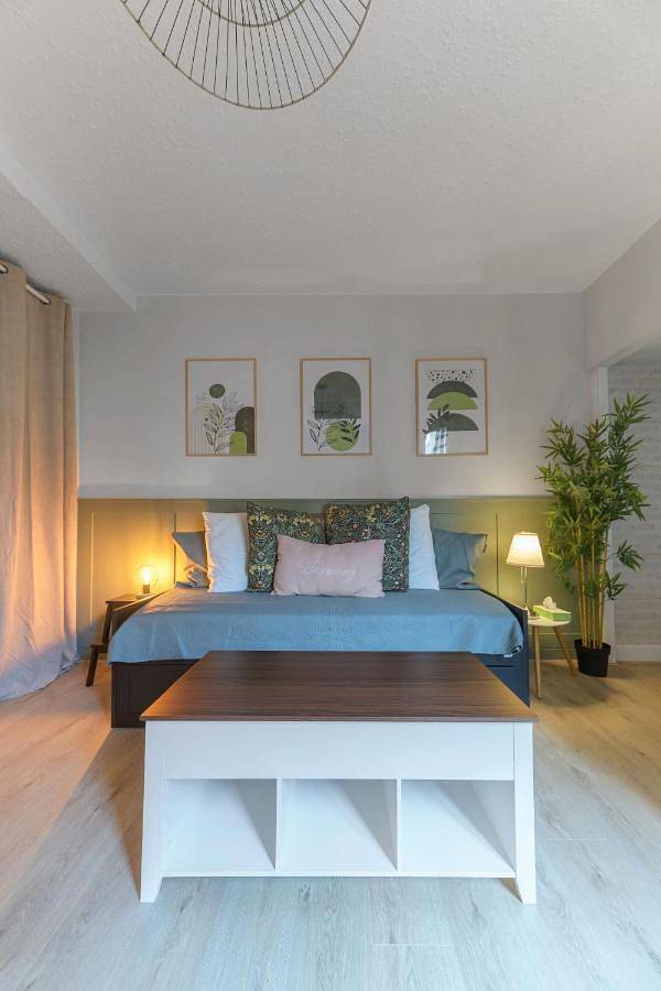 Gîte pour 2 personnes, avec terrasse, animaux acceptés dans Casino Grand Cafe de Vichy - 3