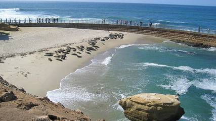 Vacation House for 6 Guests in La Jolla, San Diego, Picture 2