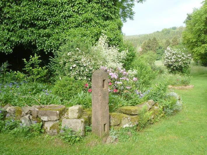 Chambre d’hôte pour 4 personnes, avec jardin et vue dans Les Mille étangs - 4
