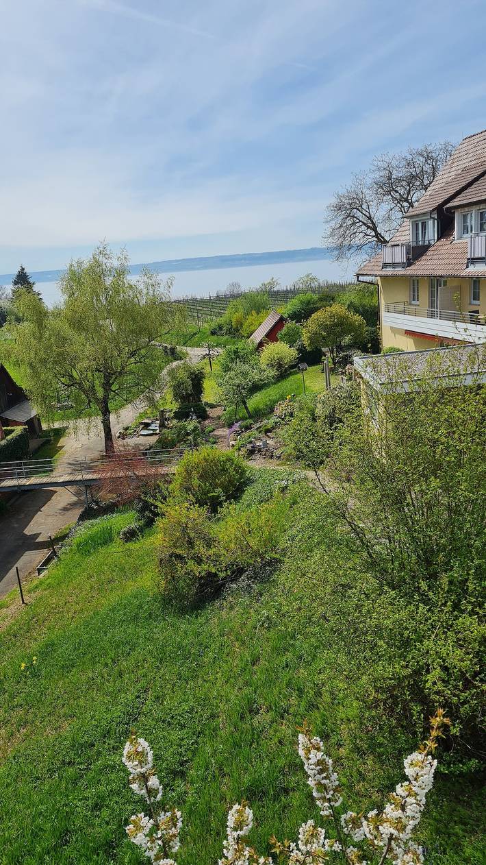 Hel lejlighed, Apartment 2 with Terrace in Stetten, Region Bodensee-Oberschwaben