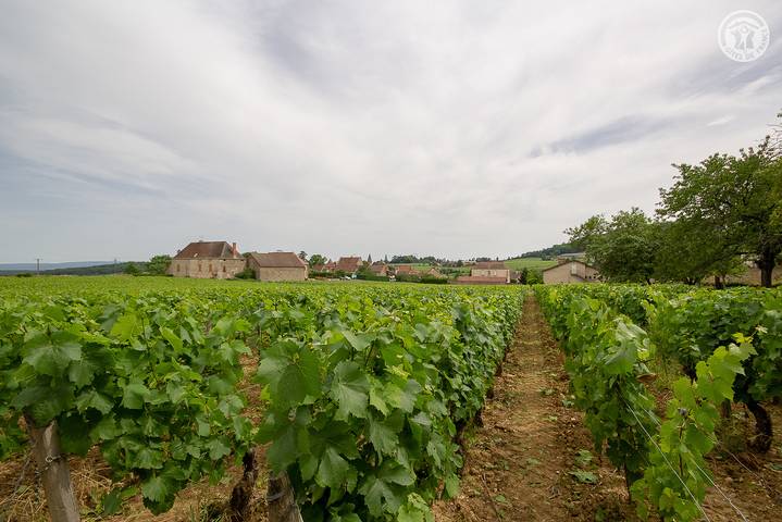 Le May Morin in Saint-Vallerin, Region Chalon-sur-Saône