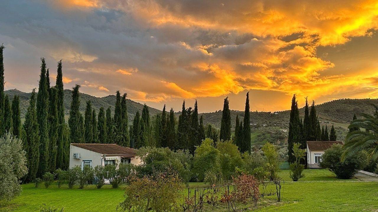 Ferienhaus für 4 Personen (45 m²) in Olvera in Olvera, Pueblos Blancos