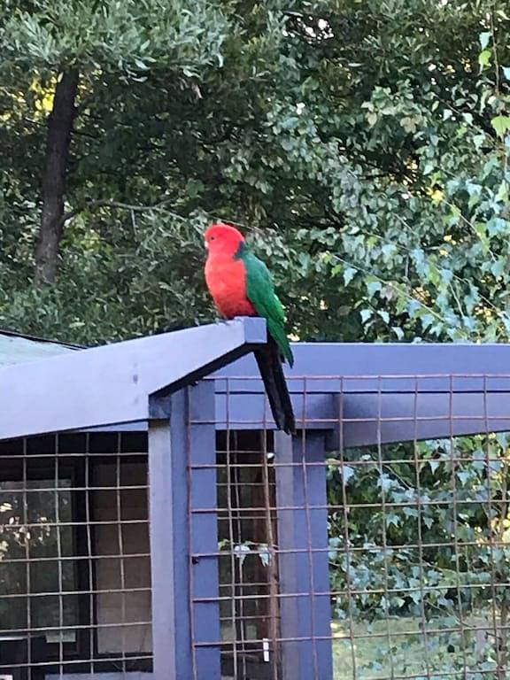 Grüne Wälder und Gärten im Grünen, Holzfeuer und ein Whirlpool laden zum Verweilen ein. in Trentham, Hepburn Shire