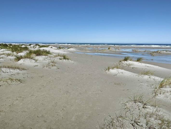 Ferienhaus für 6 Personen, mit Terrasse und Pool, mit Haustier in Nordjütland - 4