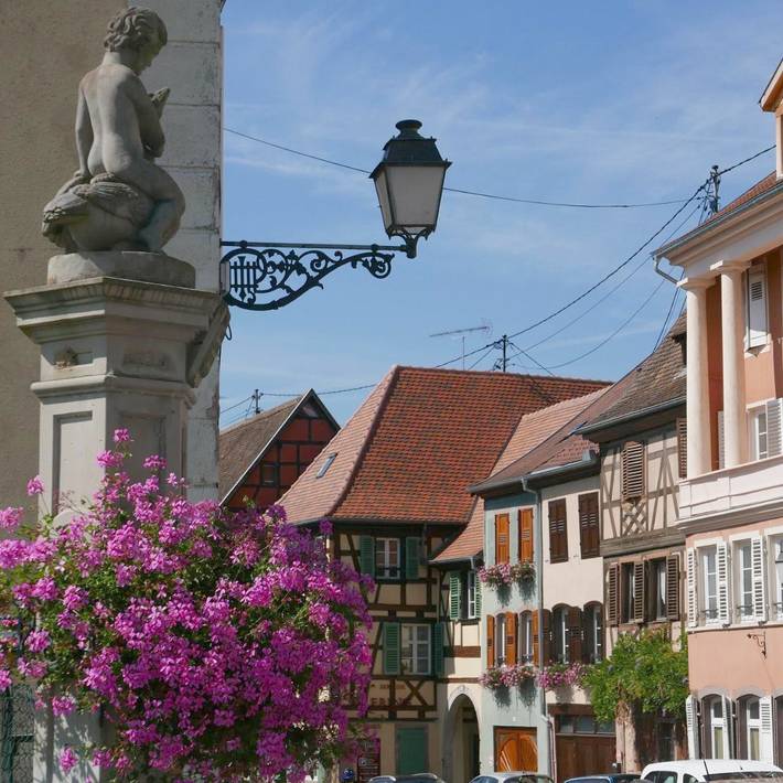 Gîte pour 4 personnes, avec vue, animaux acceptés à Barr - 2