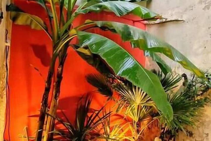 Appartement de vacances pour 2 personnes, avec balcon et jacuzzi - 1