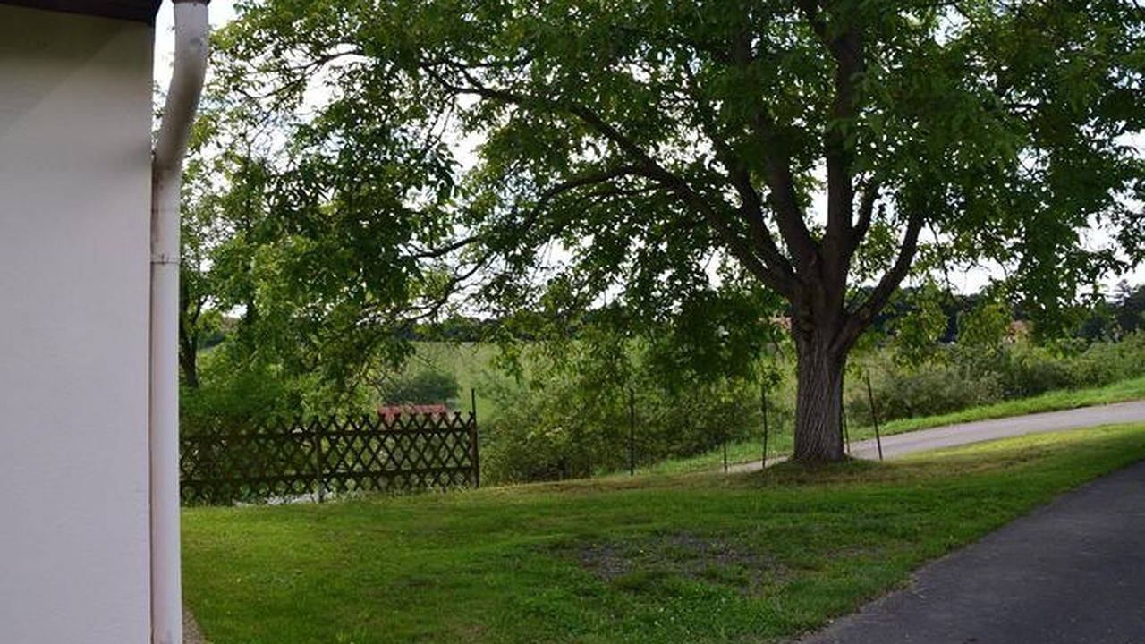 Ferienhaus für 5 Personen (60 m²) in Gnas in Südoststeiermark, Gnas