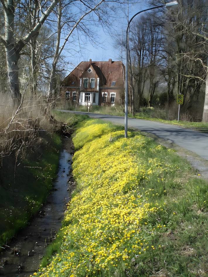Ganze Wohnung, ''Die Kleine unter den Linden'' mit Gemeinschaftsgarten, Wi-Fi, Gratis e-Ladung Auto in Schülp, Kreis Dithmarschen