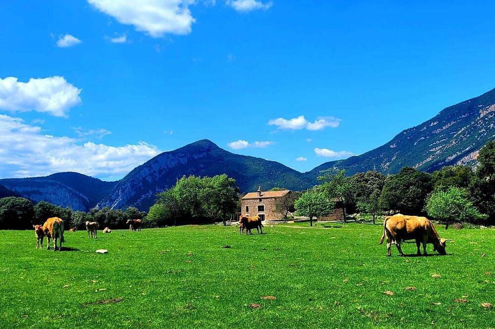 ¡Casa en paraje natural único! - 25 pax in Montagut y Oix, Garrotxa