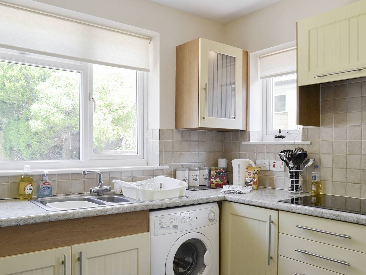 Jasper in Poole, Südwestengland