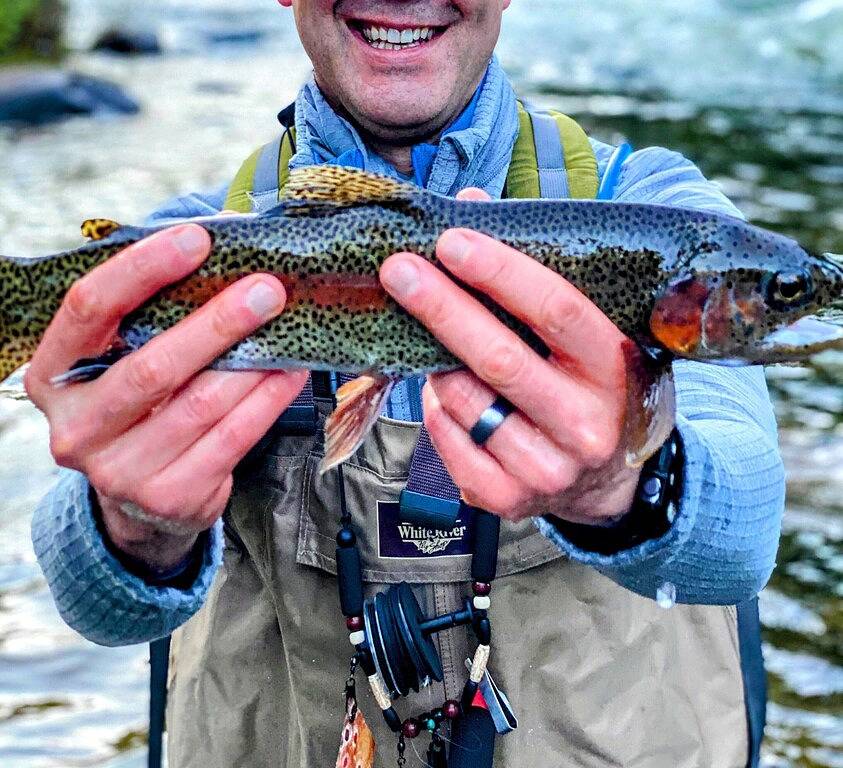 Modern Treetop Cabin on Stocked Trout Stream + Hot Tub + Fire Pit in Chattahoochee National Forest