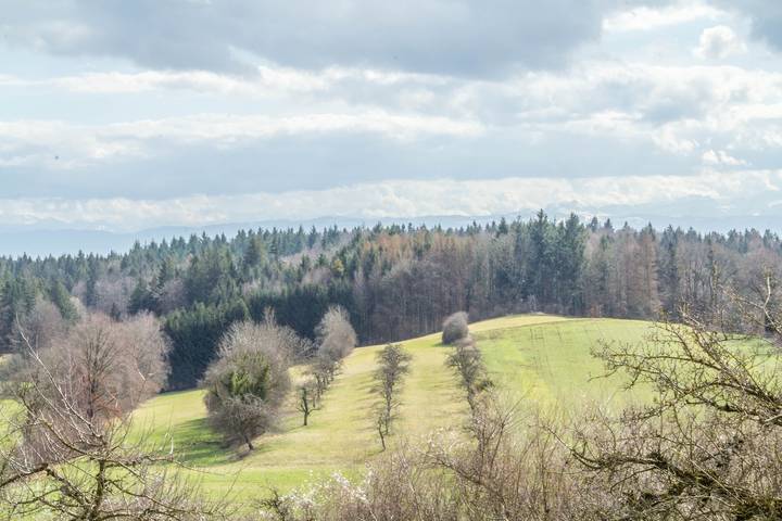 Ferienwohnung für 5 Personen, mit Garten und Seeblick in Salem - 4