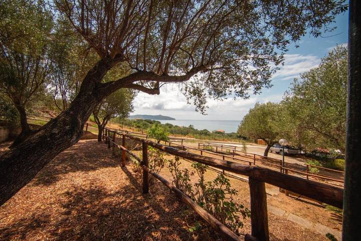 Camping per 4 persone, con giardino e panorama, con animali domestici in Cilento