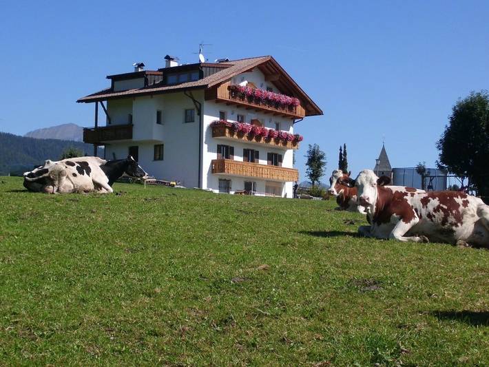 Ferienwohnung für 3 Personen, mit Balkon, mit Haustier in Meransen - 4