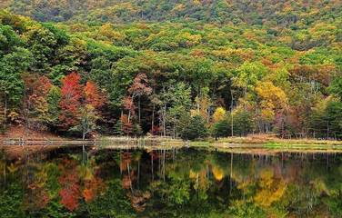 Log Cabin for 6 Guests in Shenandoah Valley, Picture 2