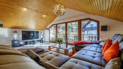 Ferienhaus für 20 Personen, mit Terrasse und Sauna sowie Whirlpool und Garten, mit Haustier in Feldberg