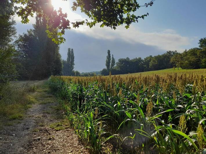 Location de vacances pour 7 personnes, avec jardin et terrasse à Belvèze - 2