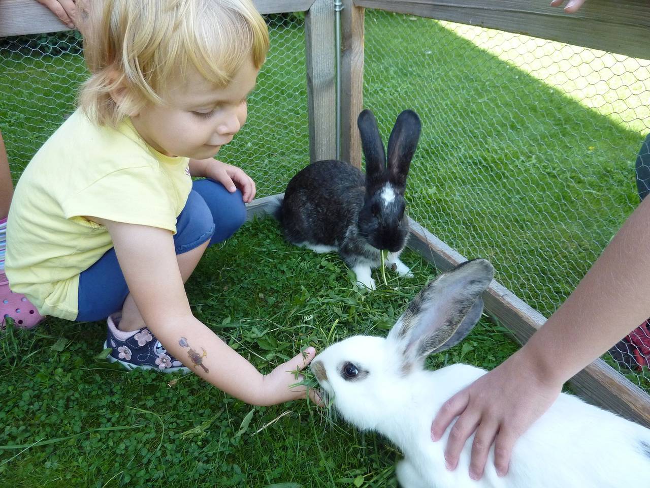 Ferienwohnung Sauer - Ferienwohnung Sauer 1 in Pfofeld, Fränkisches Seenland