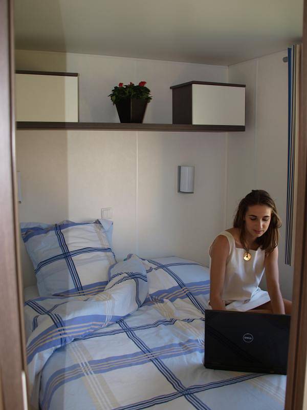 Le martin pêcheur in Orist, Région de Dax