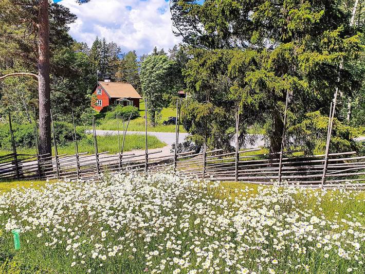 6 personer fritidhus i Vätö in Vätö, Svenska Östersjön