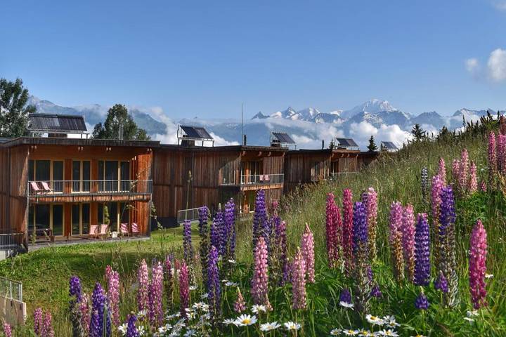 Hôtel pour 3 personnes, avec jardin et sauna, animaux acceptés