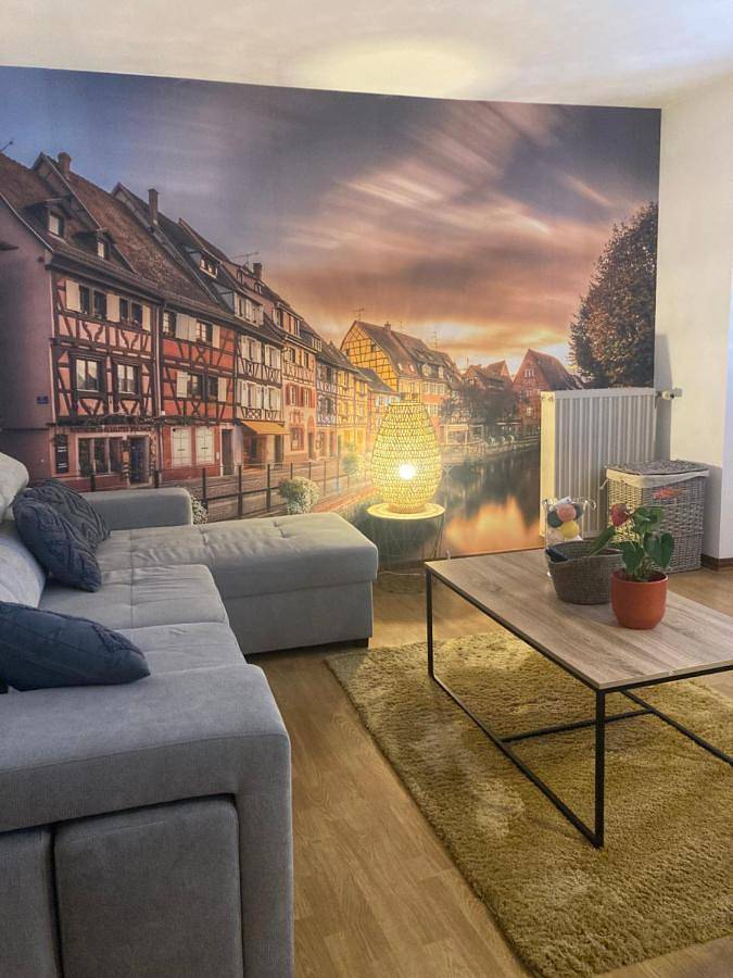 Gîte pour 8 personnes, animaux acceptés à Rouffach - 2