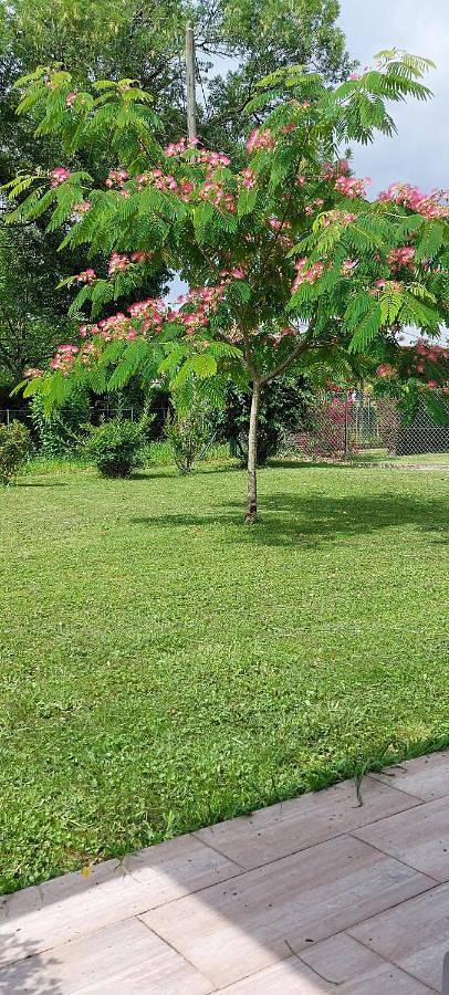 Location de vacances pour 4 personnes, avec jardin et terrasse à Lahourcade - 2