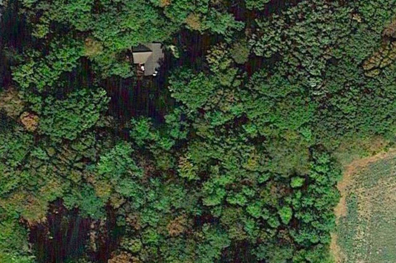 Holy Wood in Chuelles, Région de Montargis
