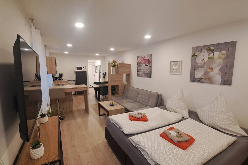 Appartamento intero, Apartment kitchen, Wlan, Smart Tv, modern, 1 double bed in Roding in Roding, Baviera Orientale