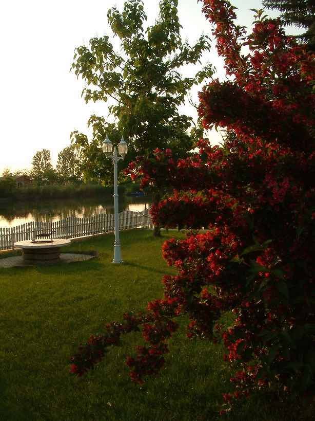Ferienhaus direkt am Fluss mit Pool und Whirlpool in Békésszentandrás, Szarvasi járás