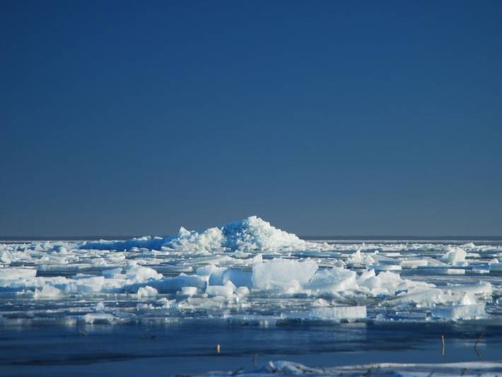 Ferienhaus für 10 Personen, mit Garten und Sauna in Ueckermünde - 4