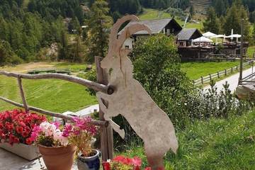 Hütte für 3 Personen in Zermatt, Walliser Alpen, Bild 4