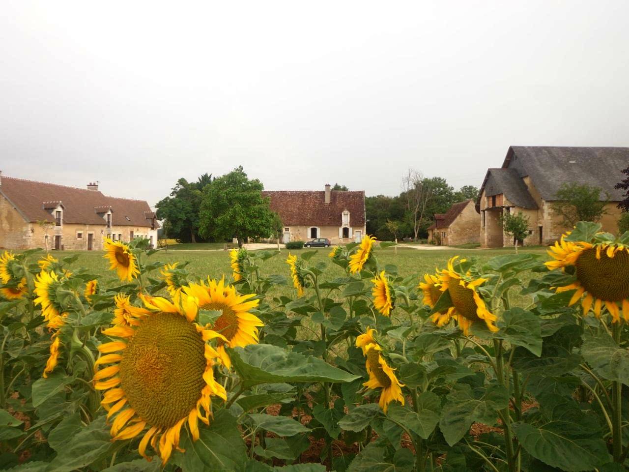 Gite et chambre d'hôtes Du Guillot in Sainte-Solange, Région de Bourges