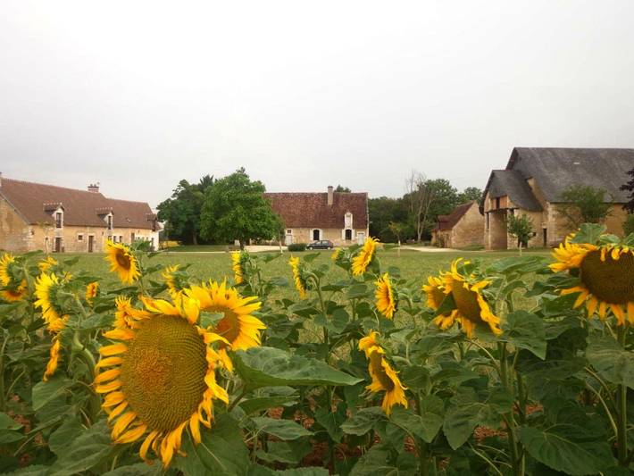 Location de vacances pour 5 personnes, avec piscine et jardin à Sainte-Solange - 3