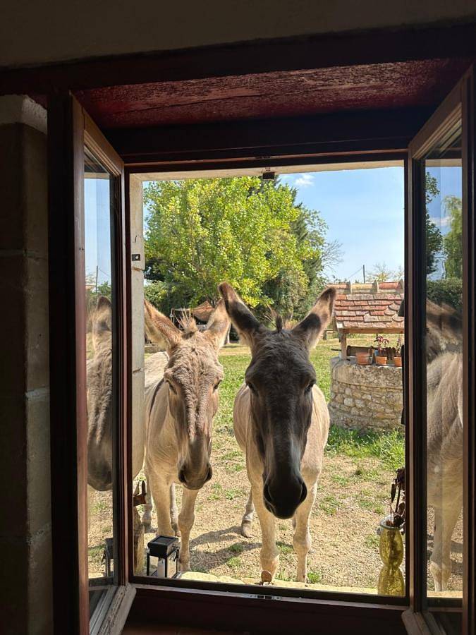 Location de vacances pour 4 personnes, avec terrasse et jardin dans Courgains