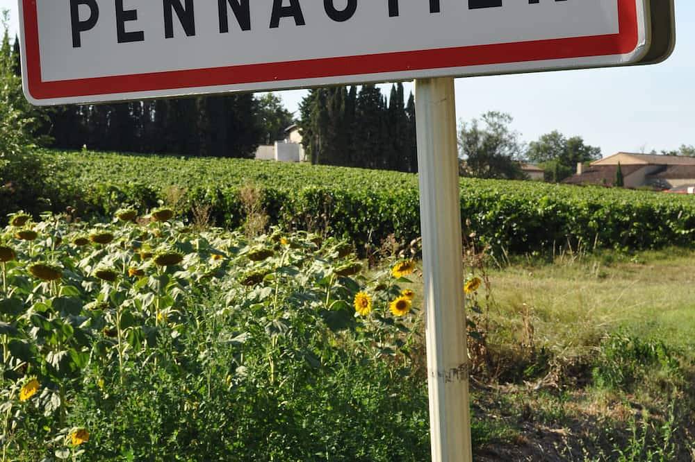 The Cathar Cottage, Pennautier - Lovely, Traditional Village House in Pennautier, Carcassonne region