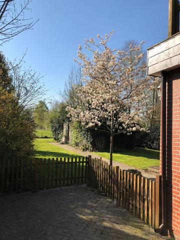 Ferienhaus für 5 Personen in Großefehn, Landkreis Aurich, Bild 4