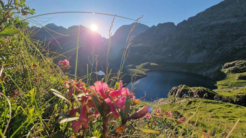 Ferienhaus, Dusche und Bad, Wc, 4 oder mehr Schlaf in Göriach, Bundesland Salzburg