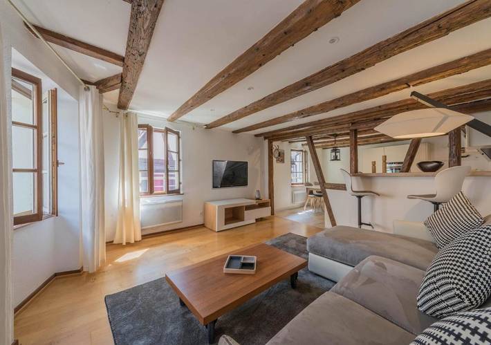 Gîte pour 6 personnes, avec vue dans Office De Tourisme De Strasbourg - 2