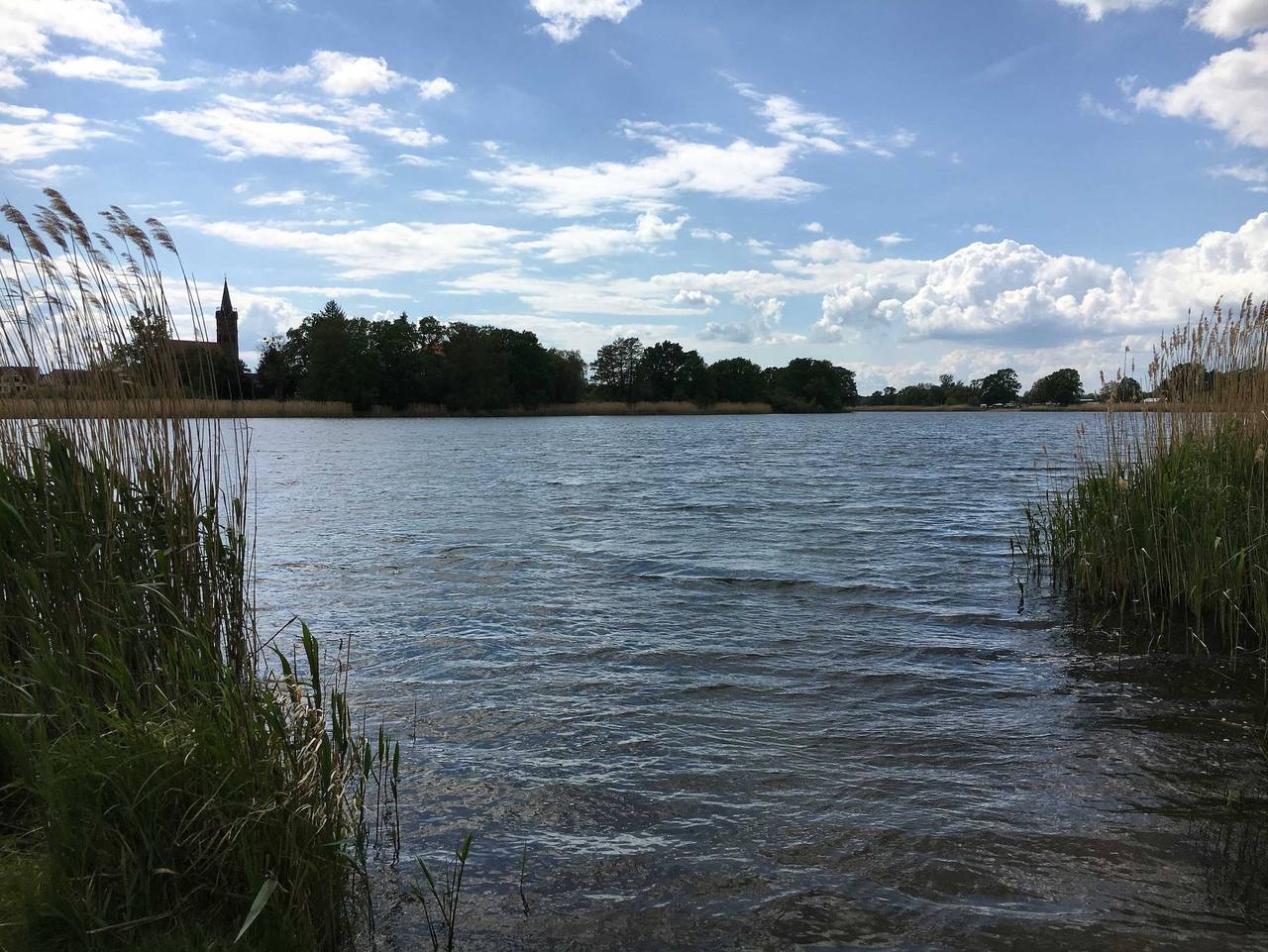 Ganze Ferienwohnung, Ferienwohnung Elbauengewölbe - Elbauengewölbe in Großkühnau, Dessau