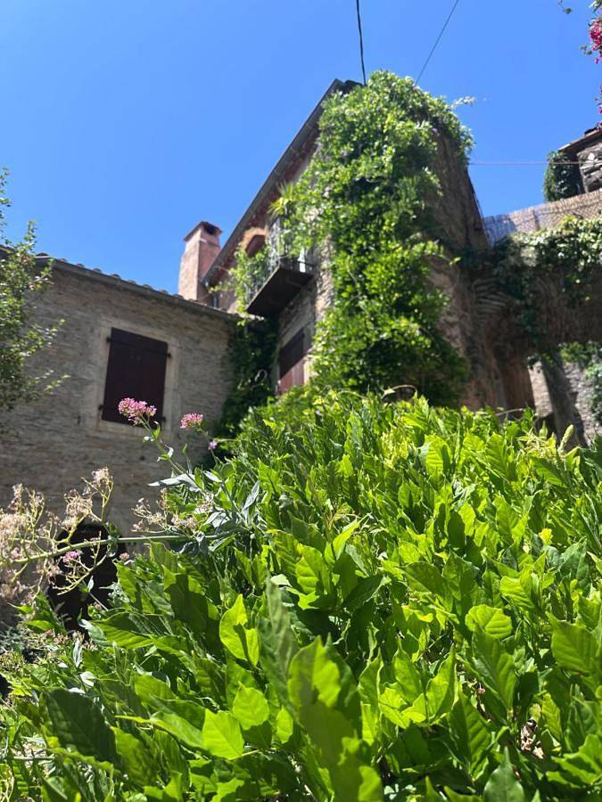Ostal de la Croix Vieussan in Vieussan, Béziers und Umgebung