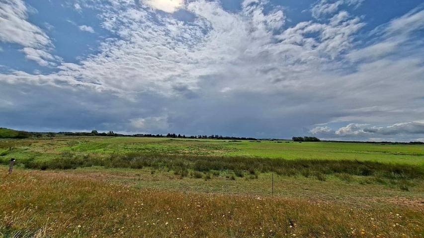 Ferienhaus für 9 Personen, mit Terrasse und Sauna sowie Whirlpool, mit Haustier in Stauning - 4