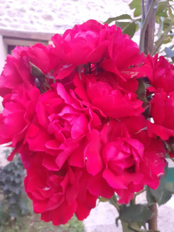 Location de vacances pour 4 personnes, avec terrasse et jacuzzi à Gasny