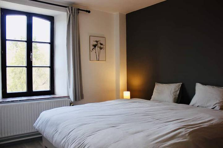 Gîte pour 12 personnes, avec terrasse et jardin, animaux acceptés à Philippeville - 2