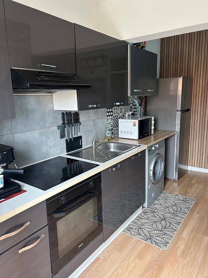 Location de vacances pour 4 personnes, avec vue sur le lac et piscine ainsi que jardin et vue à Beaumont (Vienne) - 3