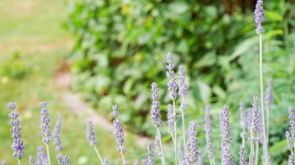 Ferienwohnung für 4 Personen in Sankt Peter, Hochschwarzwald, Bild 4