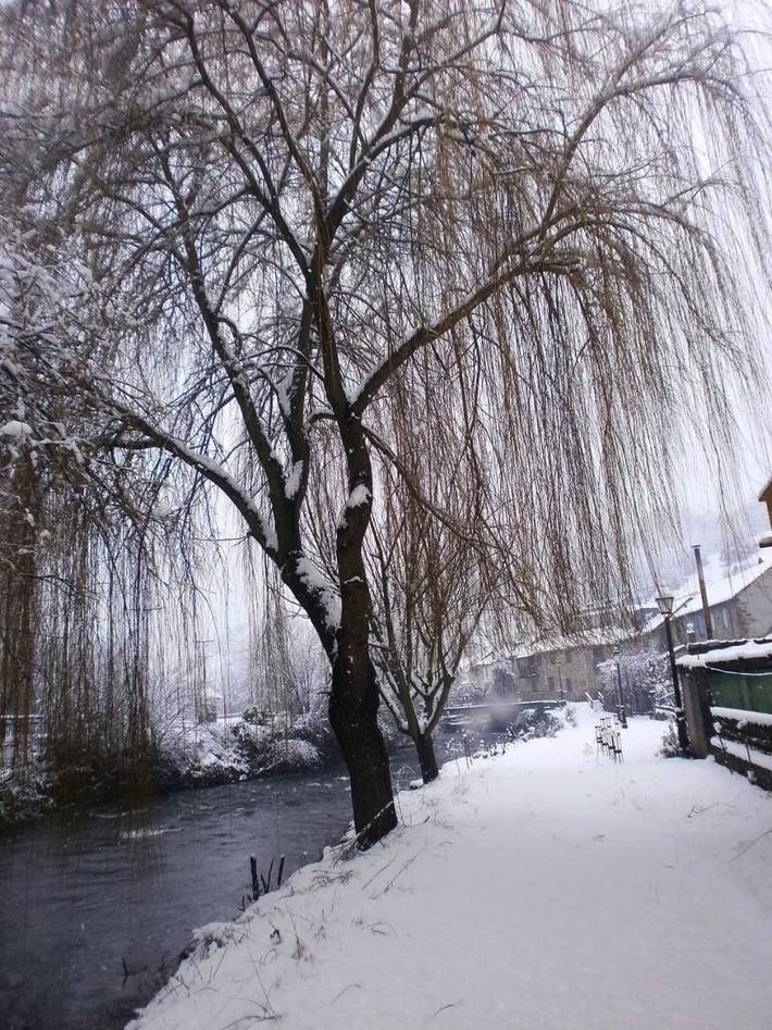 Casa rural para 9 personas, con jardín y vistas, Se admiten mascotas en El Bierzo - 2