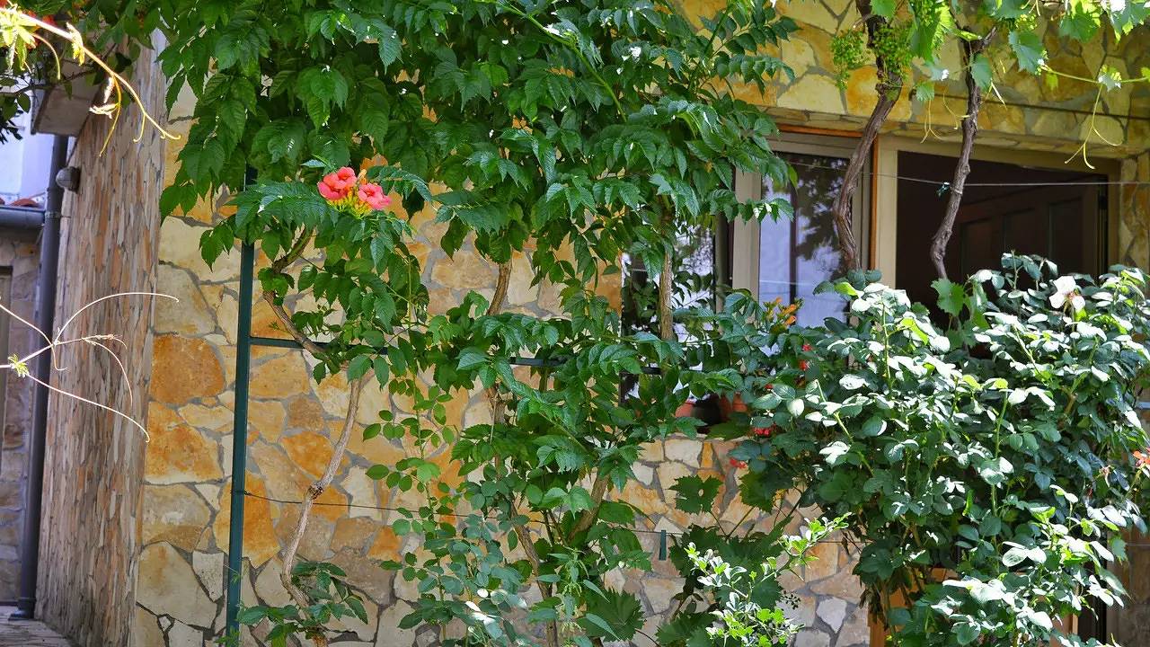 Appartamento vacanze a Kvarn a partire da 70€ a notte