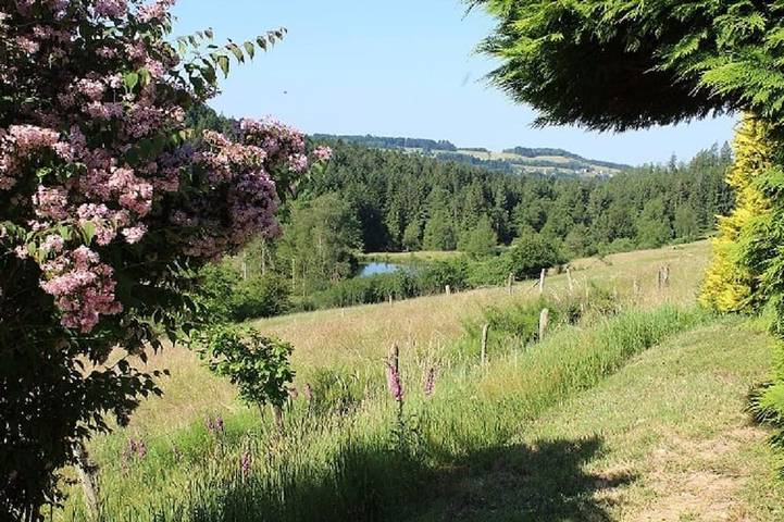 Gîte pour 4 personnes, avec Terrasse et Jardin à Girmont-Val-d'Ajol